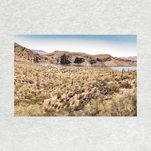 Apache Trail Scenic Drive View by Gestalt Imagery